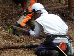 DSCN3805.JPG