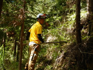 DSCN4458.JPG