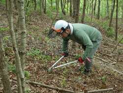 DSCN3872.JPG