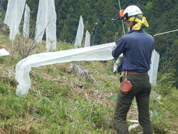 DSCN3545.JPG
