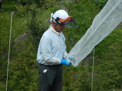DSCN3567.JPG