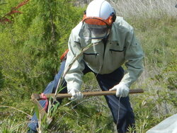 DSCN3586.JPG