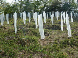 DSCN3592.JPG