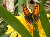 DSCN3635.JPG