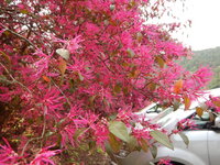 DSCN3637.JPG