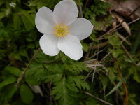 DSCN3641.JPG