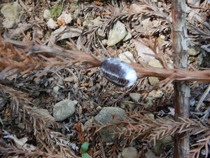 DSCN3692.JPG