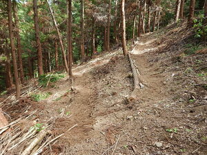 DSCN3774.JPG