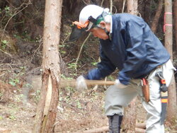 DSCN3797.JPG