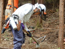 DSCN3812.JPG