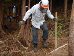 DSCN3856.JPG