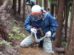 DSCN3859.JPG