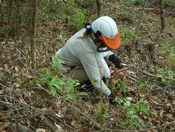 DSCN3871.JPG