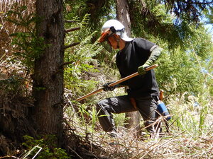 DSCN4459.JPG