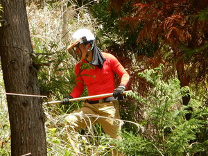 DSCN4472.JPG