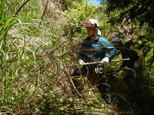 DSCN4475.JPG