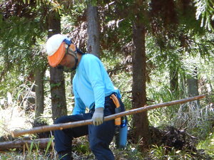 DSCN4519.JPG