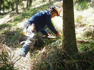 DSCN4602.JPG