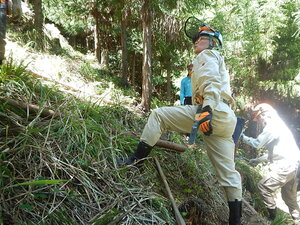 DSCN4604.JPG