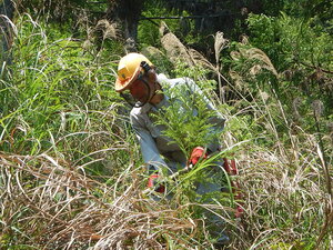 DSCN5080.JPG