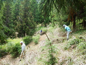 DSCN5089.JPG