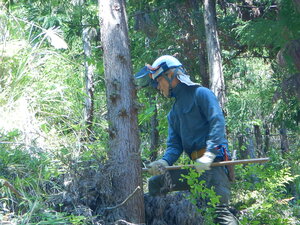 DSCN5116.JPG