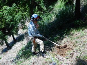 DSCN5126.JPG