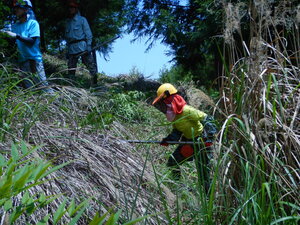 DSCN5165.JPG