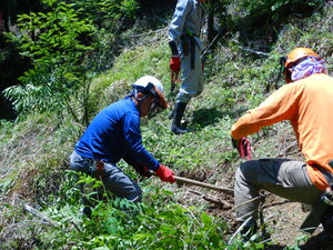 DSCN5143.JPG