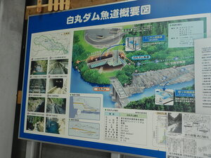DSCN6293.JPG