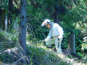 DSCN4793.JPG