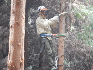 DSCN2362.JPG