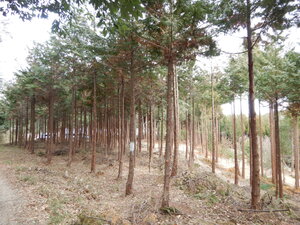 DSCN2386.JPG