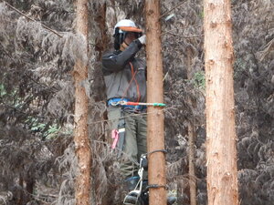 DSCN2428.JPG