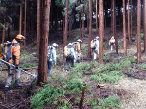 DSCN2895.JPG