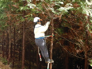 DSCN2921.JPG