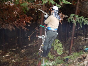 DSCN2925.JPG