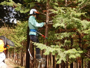 DSCN2967.JPG