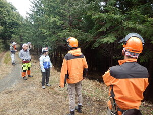 DSCN3010.JPG