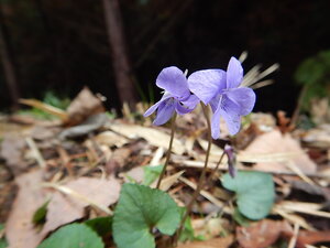 DSCN3032.JPG