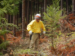 DSCN3170.JPG