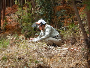 DSCN3175.JPG