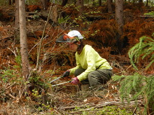 DSCN3181.JPG