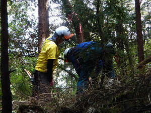 DSCN3225.JPG