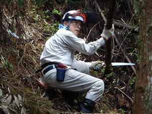 DSCN3238.JPG