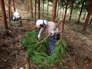 DSCN3294.JPG