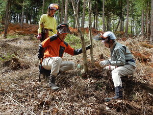 DSCN3342.JPG