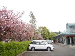 DSCN3375.JPG