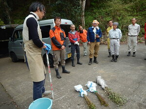 DSCN3379.JPG