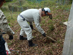 DSCN3396.JPG